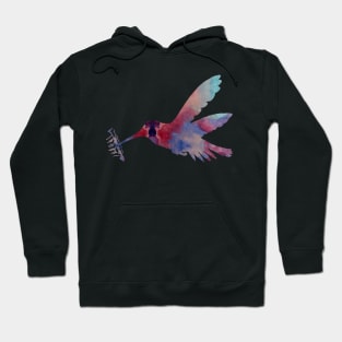 Hummingbird Hoodie